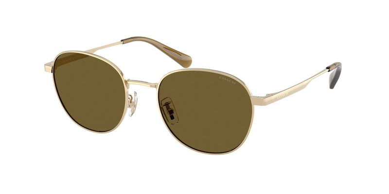 900573 - Shiny Light Gold / Olive Solid