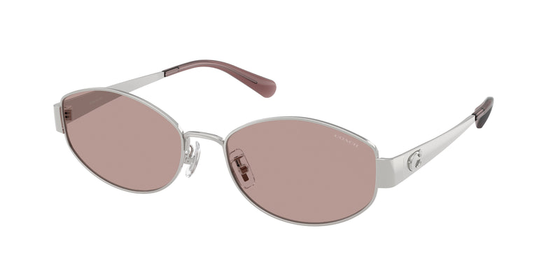 90017N - Shiny Silver / Purple Solid