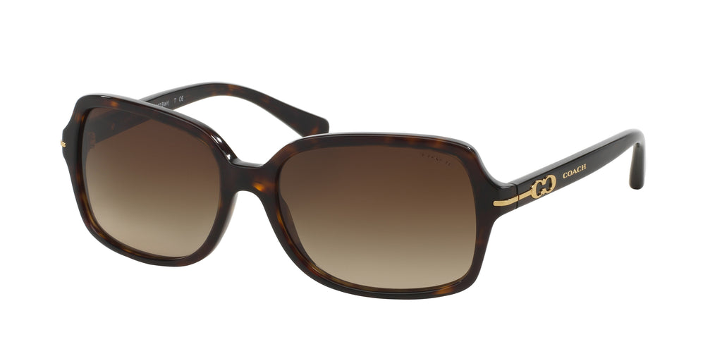 500113 - Dark Tortoise / Brown Gradient