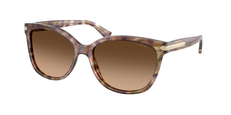 528713 - Tortoise / Brown Gradient