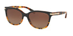 5438T5 - Black Tortoise Gradient / Brown Gradient Polarized