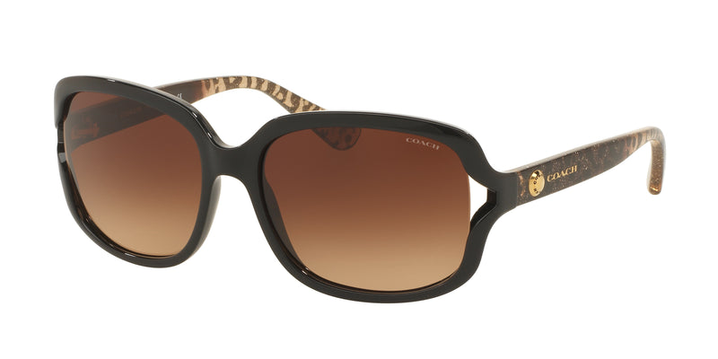 535313 - Black / Brown Gradient