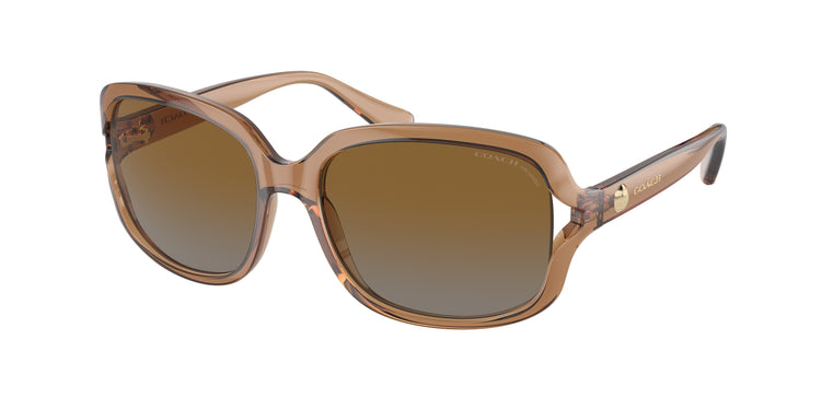 5561T5 - Transparent Brown / Brown Grey Gradient Polar