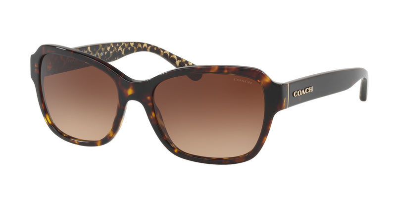 550713 - Dark Tortoise / Brown Gradient