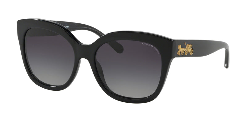 5002T3 - Black / Grey Gradient Polarized