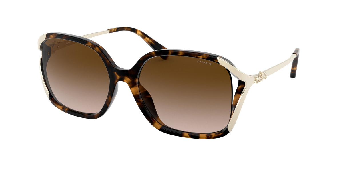 512013 - Dark Tortoise / Brown Gradient