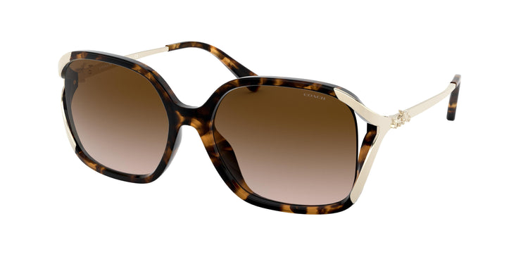 512013 - Dark Tortoise / Brown Gradient