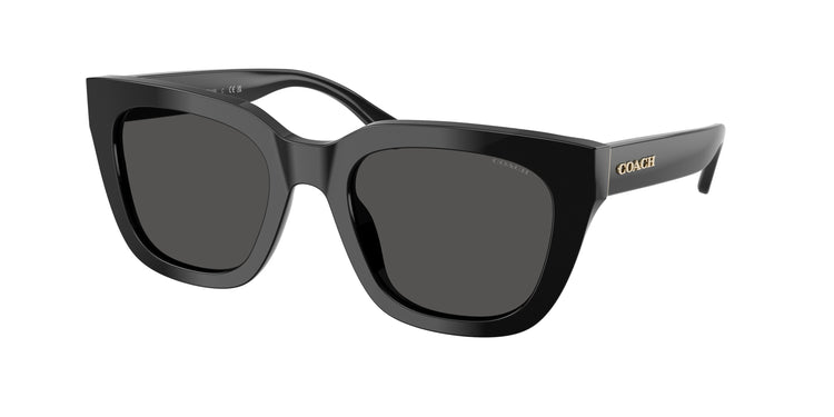 500287 - Black / Grey Solid