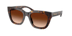 51208G - Dark Tortoise / Brown Gradient