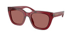 571369 - Transparent Burgundy / Burgundy Solid