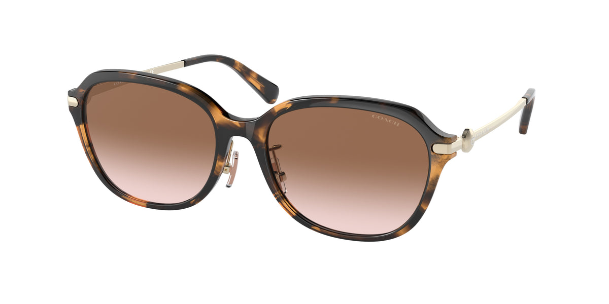 512013 - Dark Tortoise / Brown Gradient