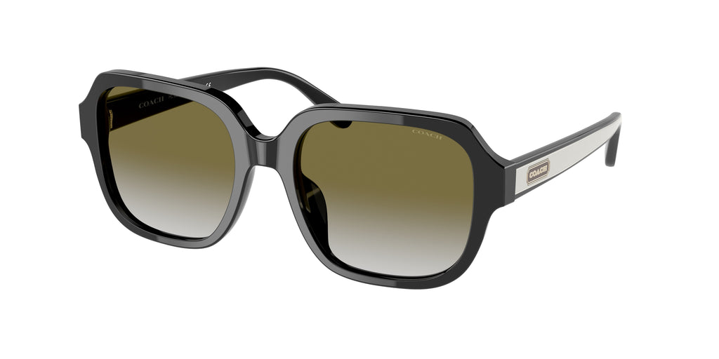 50027Z - Black / Olive Gradient