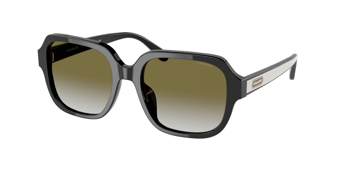 50027Z - Black / Olive Gradient