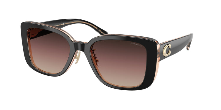 5781E2 - Black/Blush / Brown Purple Gradient