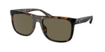 51203 - Dark Tortoise / Brown Solid