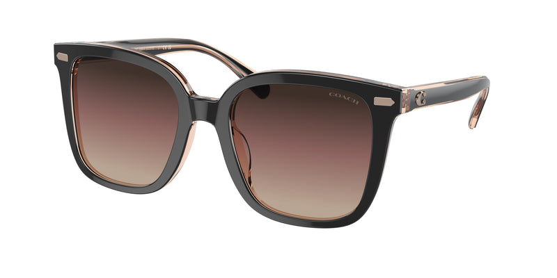 5781E2 - Black / Violet
