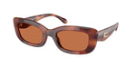 577473 - Caramel Tortoise / Brown Solid