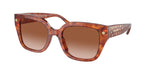 577413 - Caramel Tortoise / Brown Gradient
