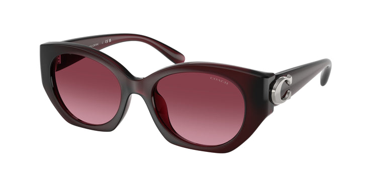 Coach HC8407U 53938H Oval Sunglasses