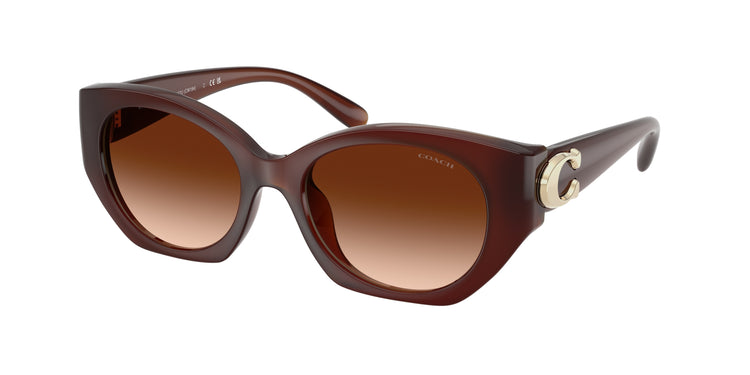 584174 - Milky Hazelnut / Brown Gradient