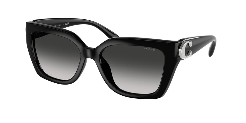 50023C - Black / Grey Gradient