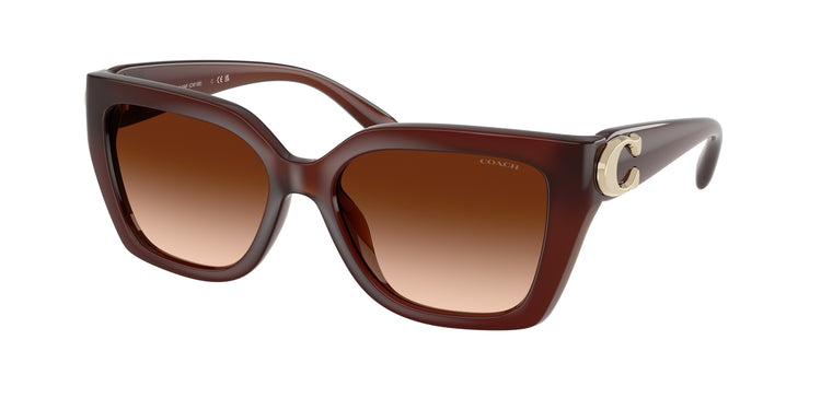 584174 - Milky Hazelnut / Brown Gradient