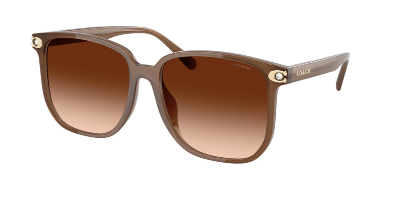 580874 - Milky Brown / Brown Gradient