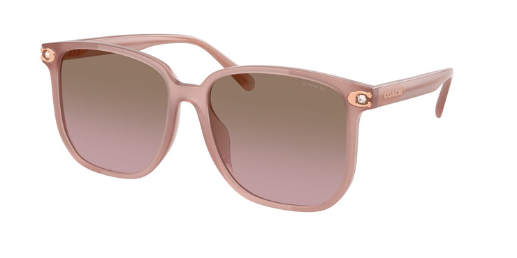 Coach 0HC8413BD CW419