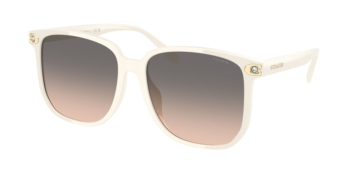 Coach 0HC8413BD CW419