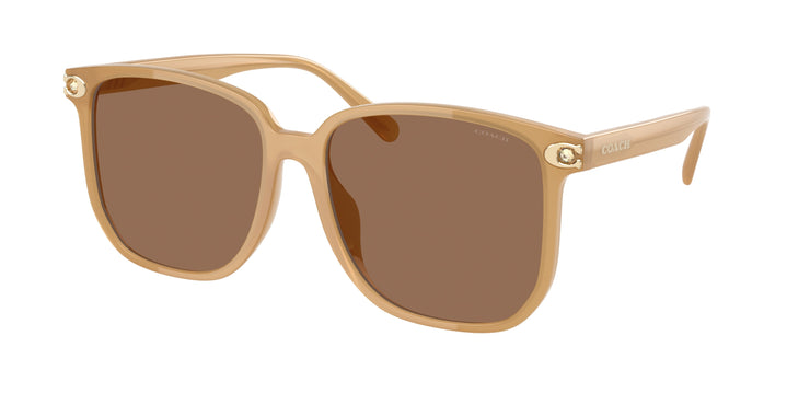 Coach 0HC8413BD CW419