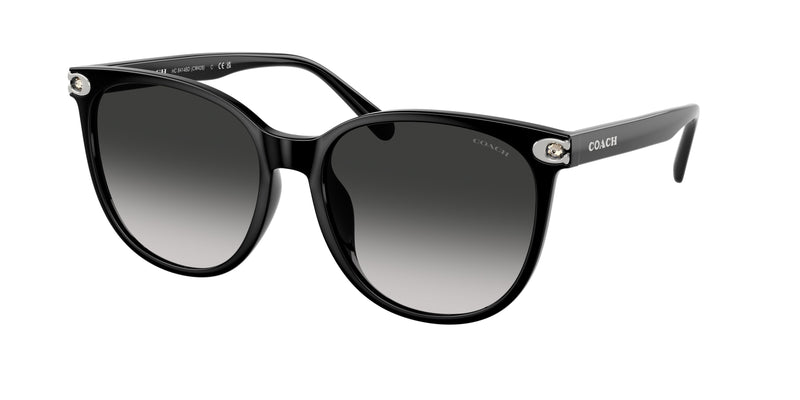 50023C - Black / Grey Gradient
