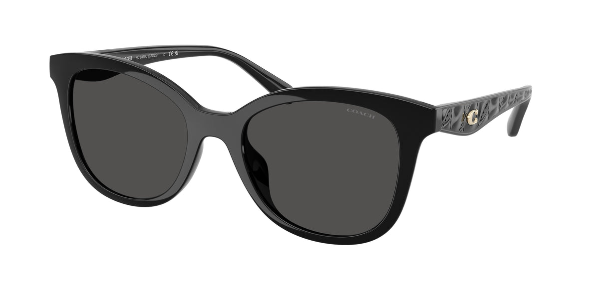 500287 - Black / Grey Solid