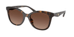 5120T5 - Dark Tortoise / Brown Gradient Polar