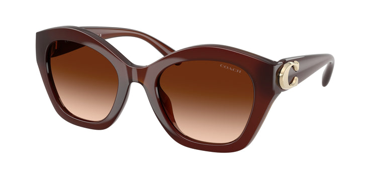 584174 - Milky Hazelnut / Brown Gradient