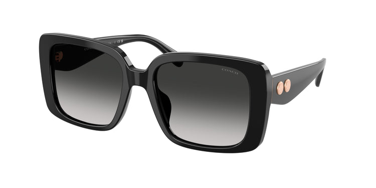 Coach 0HC8424F CAD55