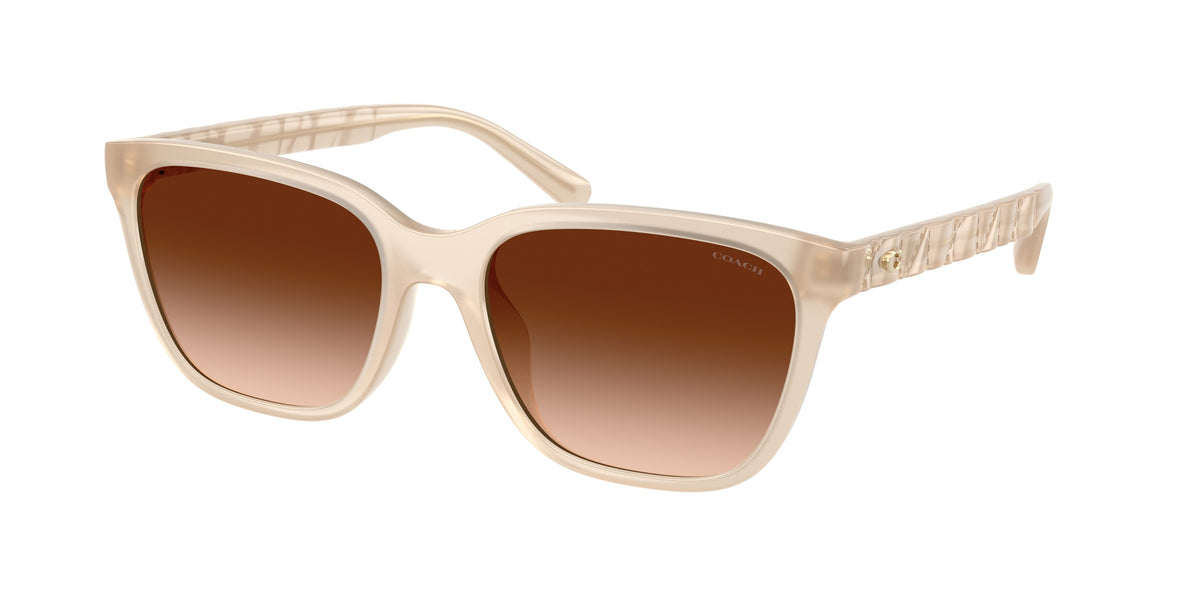 588374 - Milky Coconut / Brown Gradient