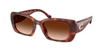 577474 - Caramel Tortoise / Brown Gradient
