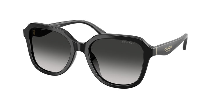 50023C - Black / Grey Gradient
