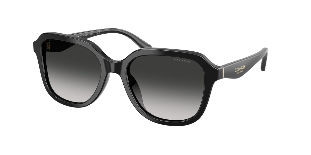 50023C - Black / Grey Gradient