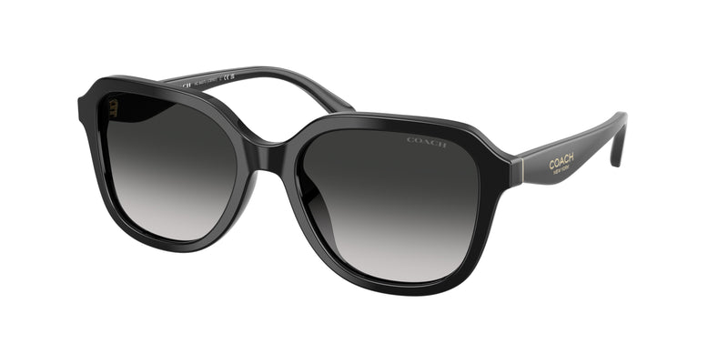 50023C - Black / Grey Gradient