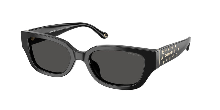 Coach 0HC8439U CBZ52