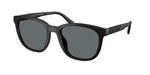 500281 - Matte Black / Grey Solid Polar