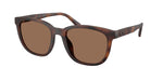 512073 - Matte Dark Tortoise / Brown Solid