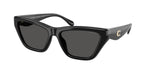500287 - Black / Grey Solid