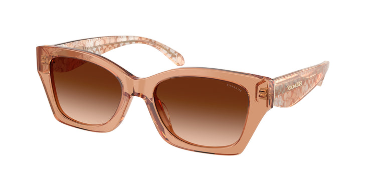 593774 - Transparent Brown / Brown Gradient