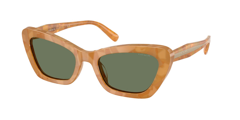 593982 - Blonde Tortoise / Green Solid