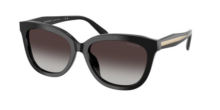 50028G - Black / Grey Gradient
