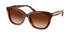 593874 - Walnut Tortoise / Brown Gradient