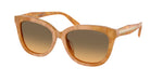 593911 - Blonde Tortoise / Olive