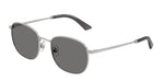 300281 - Silver / Dark Grey Polarized